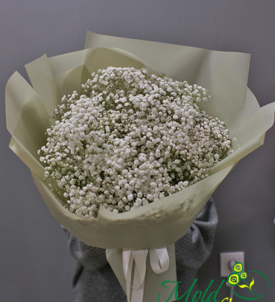 Bouquet of white gypsophila photo 394x433